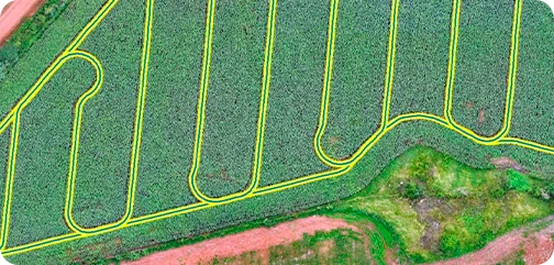 mapeamento com drone