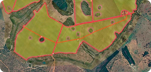 mapeamento com drone